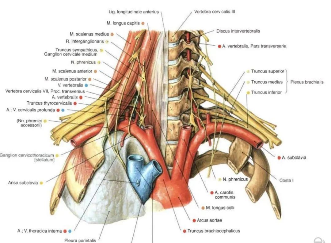 显微血管巧搭桥 多学科协作挽救延安被砸伤患者