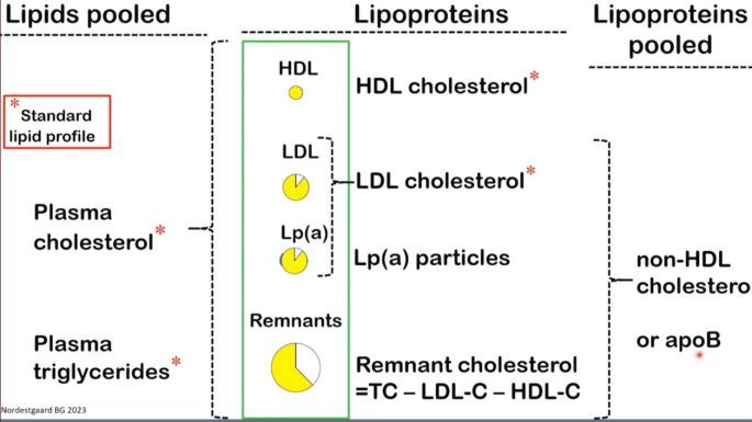 糖尿病患者 LDL-C 和 HDL-C 均達標，還要進行降脂治療嗎？