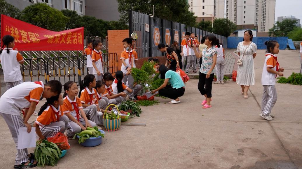“小菜园”收获，小学生校门口摆摊叫卖