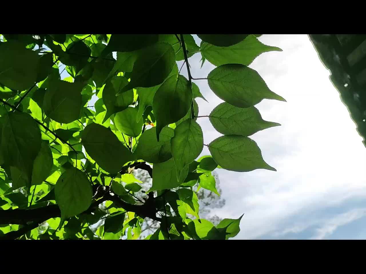 21汽车视频｜奔驰GLC SUV的诗与远方，需向智能化提速