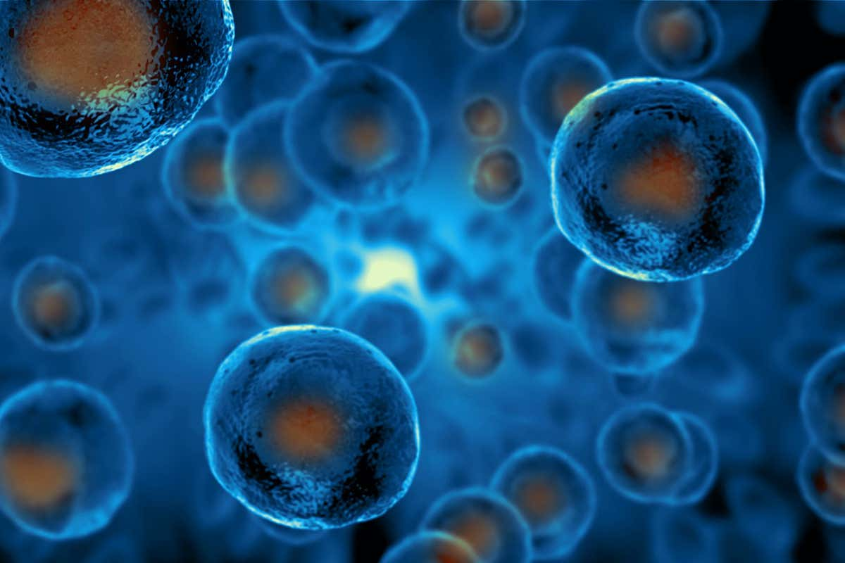 细胞疗法已被批准用于治疗Ⅰ型糖尿病 图片来源：英国《新科学家》杂志网站