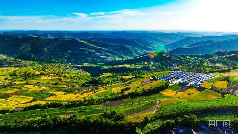 盛夏时节庄浪县柳梁镇周蒲村梯田色彩斑斓（央广网发 李鼎 摄）