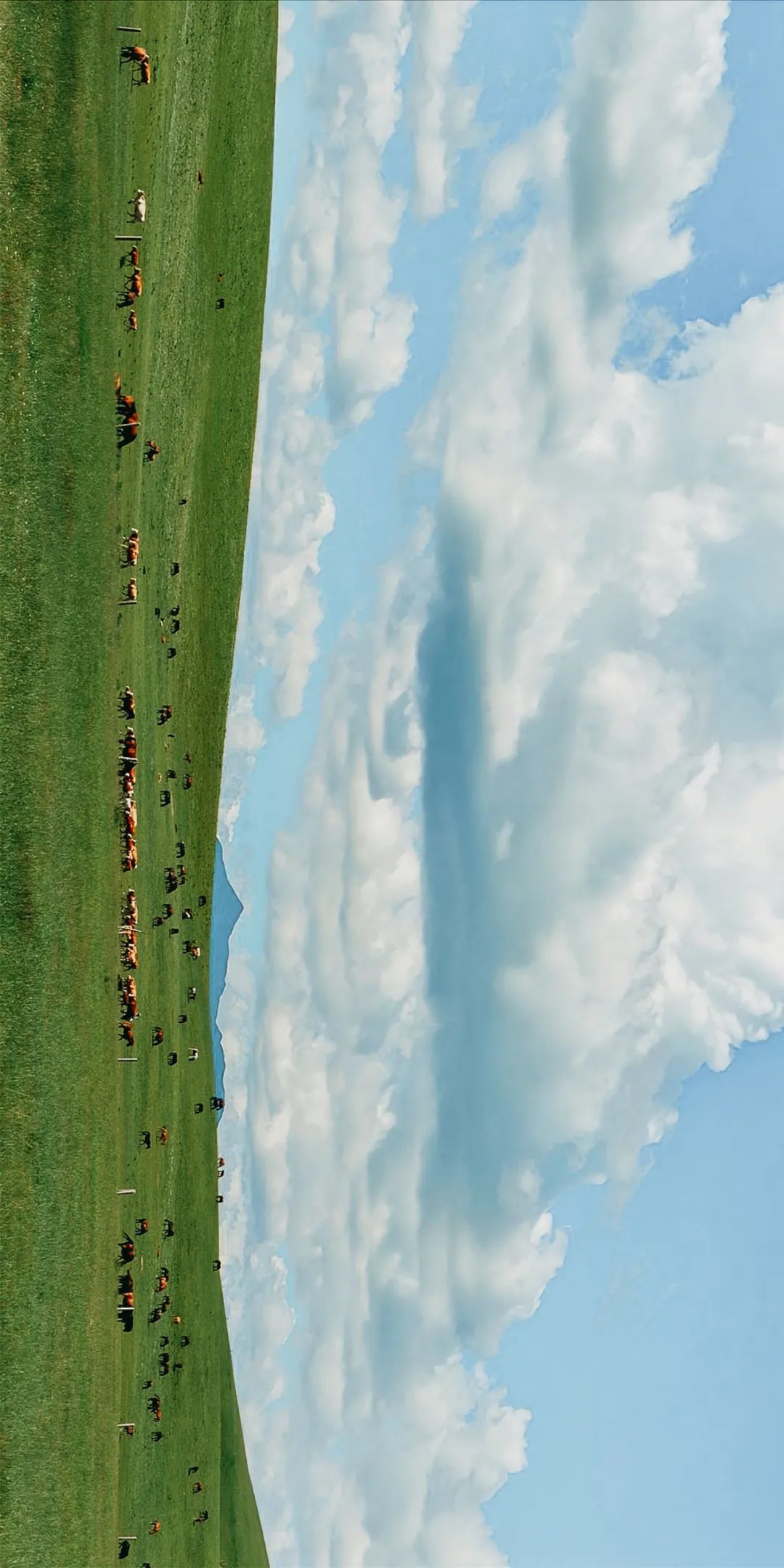 山丹军马场 摄影/陈旻