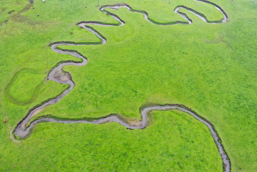 ↑ 这是7月1日拍摄的狼渡滩草原风光（无人机照片）