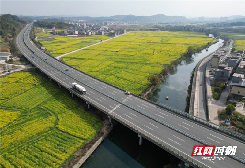 临武县武水镇的油菜花与高速相互融合，如同一幅“水彩画”。.jpg