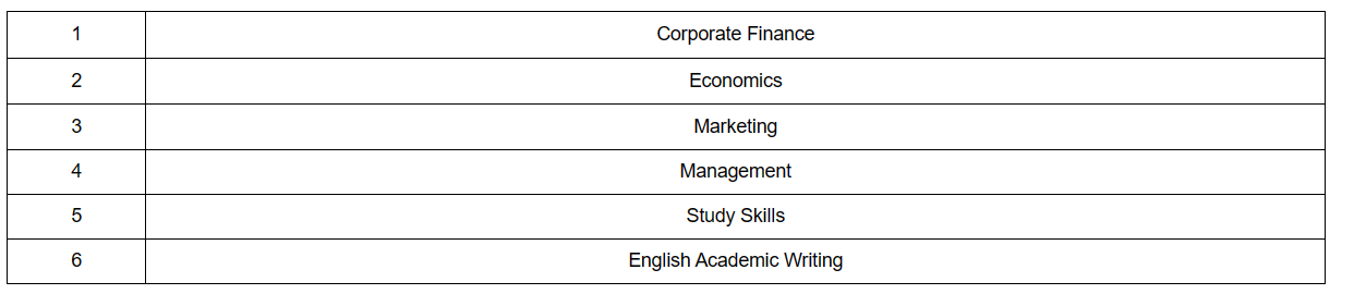 中英3+1硕士本硕连读项目