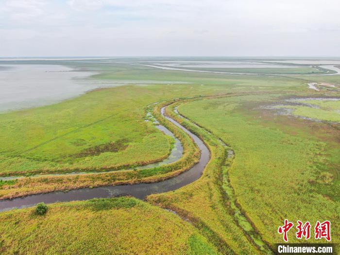 航拍江西鄱阳湖南矶湿地国家级自然保护区水草丰茂,风光秀美。 刘力鑫 摄