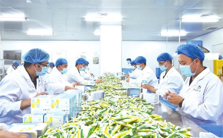 和盛堂制药外包装人员正在进行外包装工作