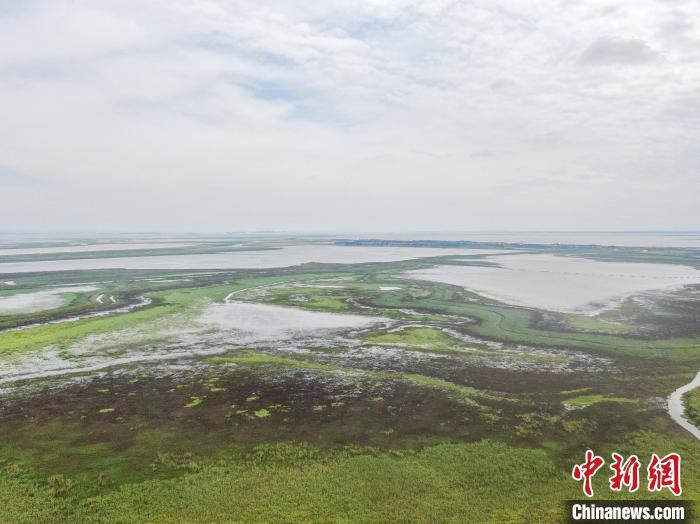 航拍江西鄱阳湖南矶湿地国家级自然保护区水草丰茂,风光秀美。 刘力鑫 摄
