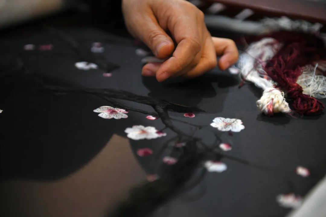 在苏州吴中区光福镇，绣娘在进行苏绣创作（2019年3月14日摄）。新华社记者 季春鹏 摄