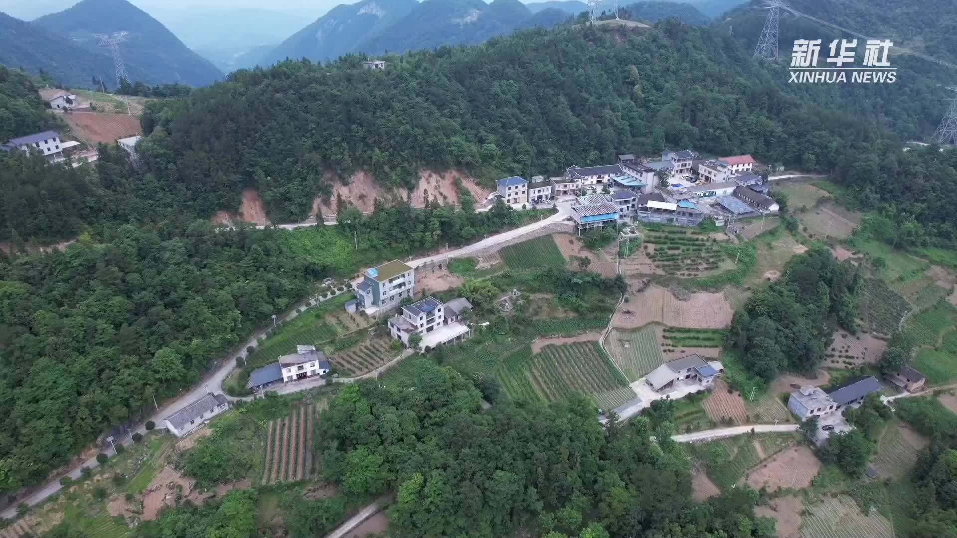 湖北恩施：电力爱心超市助推文明新风
