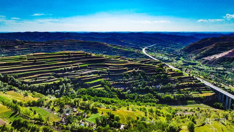 庄浪县柳梁镇乱庄村层层梯田美不胜收（央广网发 李鼎 摄）