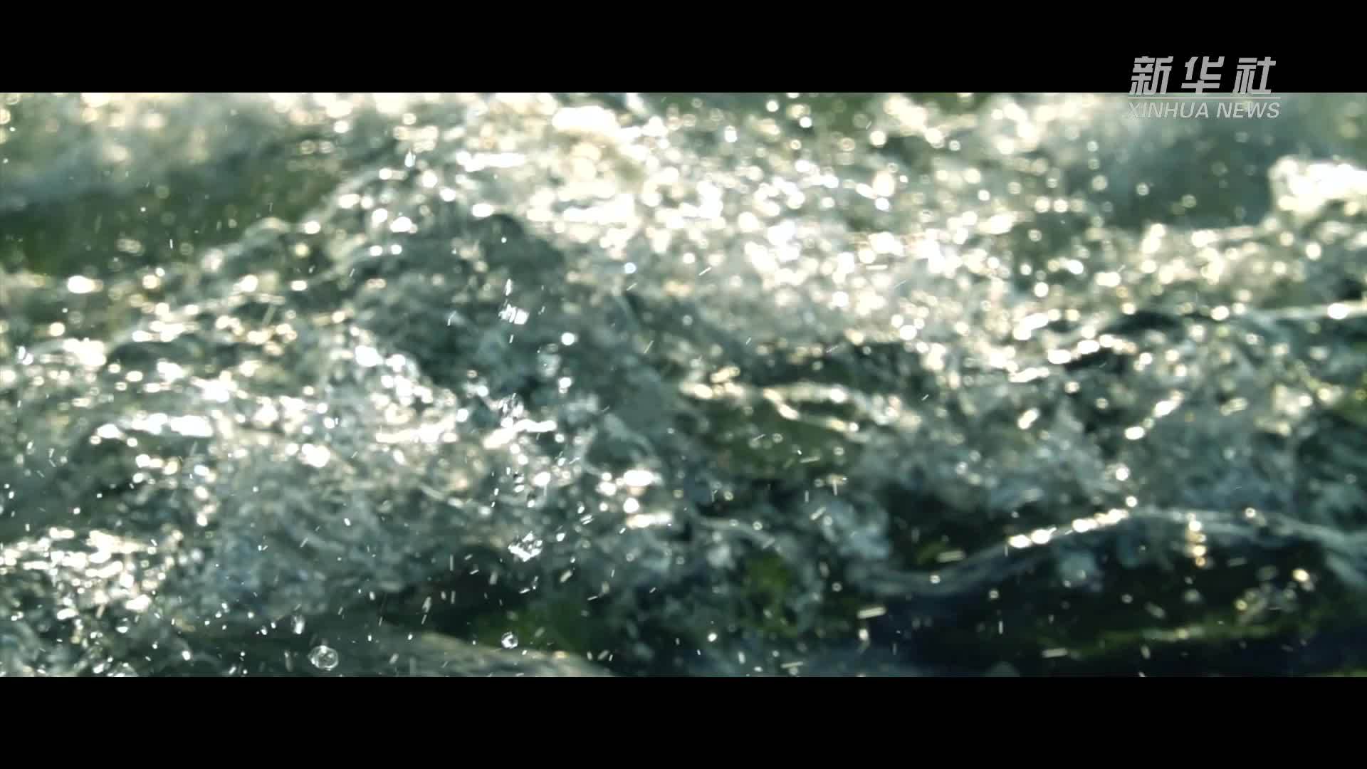 大型人文纪录片｜运河新生