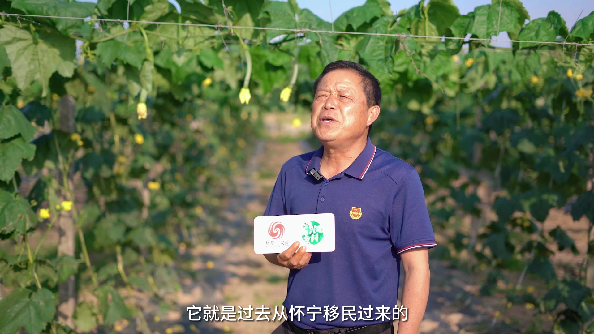 振兴吧！乡村丨第十三期 安庆大观区