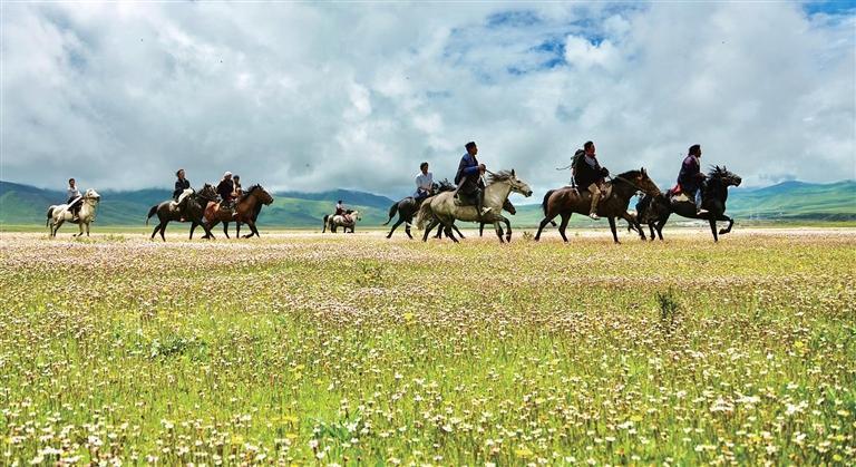 游客在甘南草原上游览体验骑马项目
