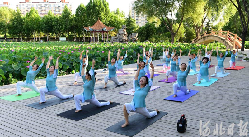 7月9日，邢台市南和区兴和公园内，瑜伽爱好者在荷塘旁练习瑜伽。