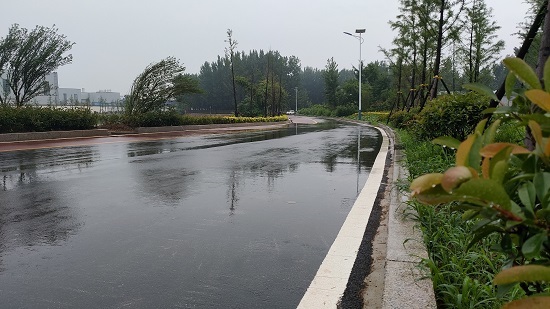 临沂市罗庄区农村公路总里程达1094.897公里，“四好农村路”建设成效显著！