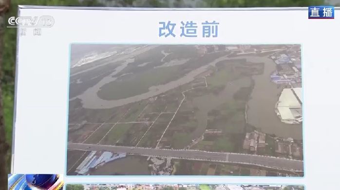 央视聚焦：从“龙须沟”到国家湿地公园，华阳湖是怎么做到的？