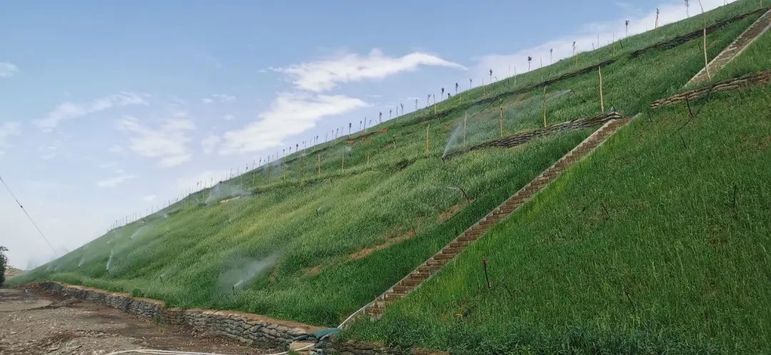 △整治后的冶炼渣场边坡