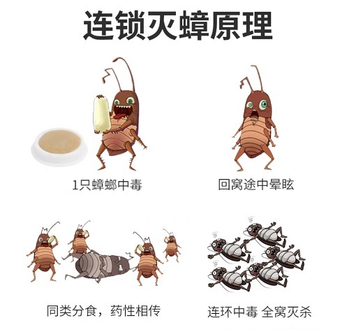 65A297E05D745EB89674750453D0972CE97283B1_size56_w500_h475.jpg
