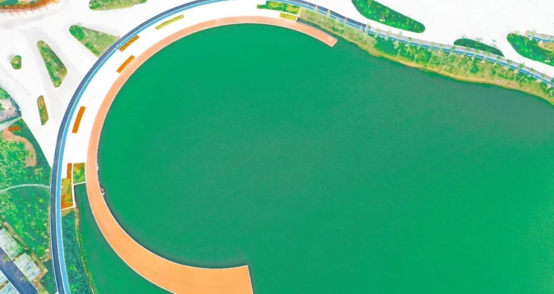 九里湖东湖生态修复工程项目即将竣工！徐州综合性湿地公园+1