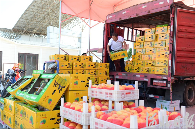 7月8日，在中联农（石家庄）国际水果物流园水果优选专营区，商户在将水果卸车。