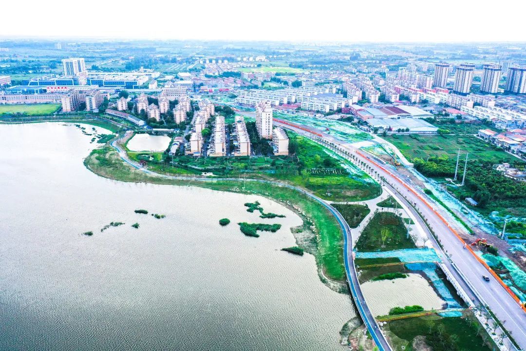 九里湖东湖生态修复工程项目即将竣工！徐州综合性湿地公园+1