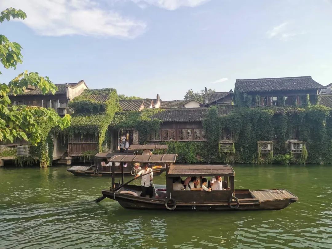 师生们坐船参观乌镇西栅