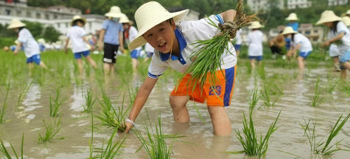 梦紫阳民宿 小朋友参与农事活动