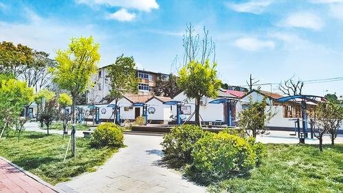 7月10日，沧州市浮阳南大道与御河路交叉口东南角的口袋公园景色。河北日报记者 张 昊摄