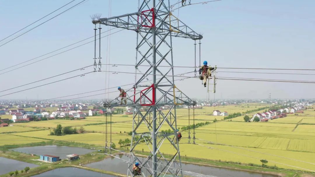 图为:供电公司组织作业人员对220千伏线路加装间隔棒,提升输电线路载流量,保障供电可靠稳定。(国网南通供电公司供图)