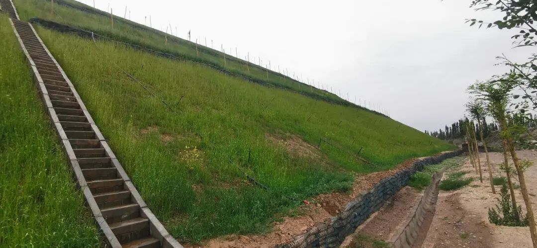 △整治后的冶炼渣场边坡