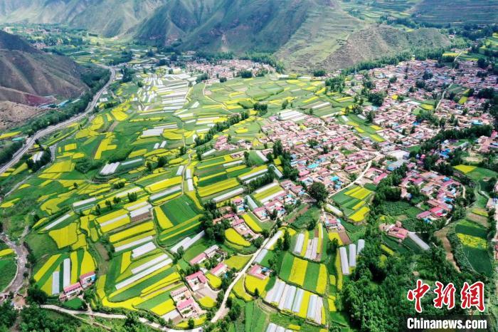 江苏惠山、青海乐都：东西部协作不以山海为远