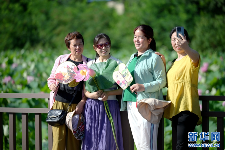 7月6日，河南省桐柏县月河镇徐寨村，游客在赏荷游玩、拍照留念。