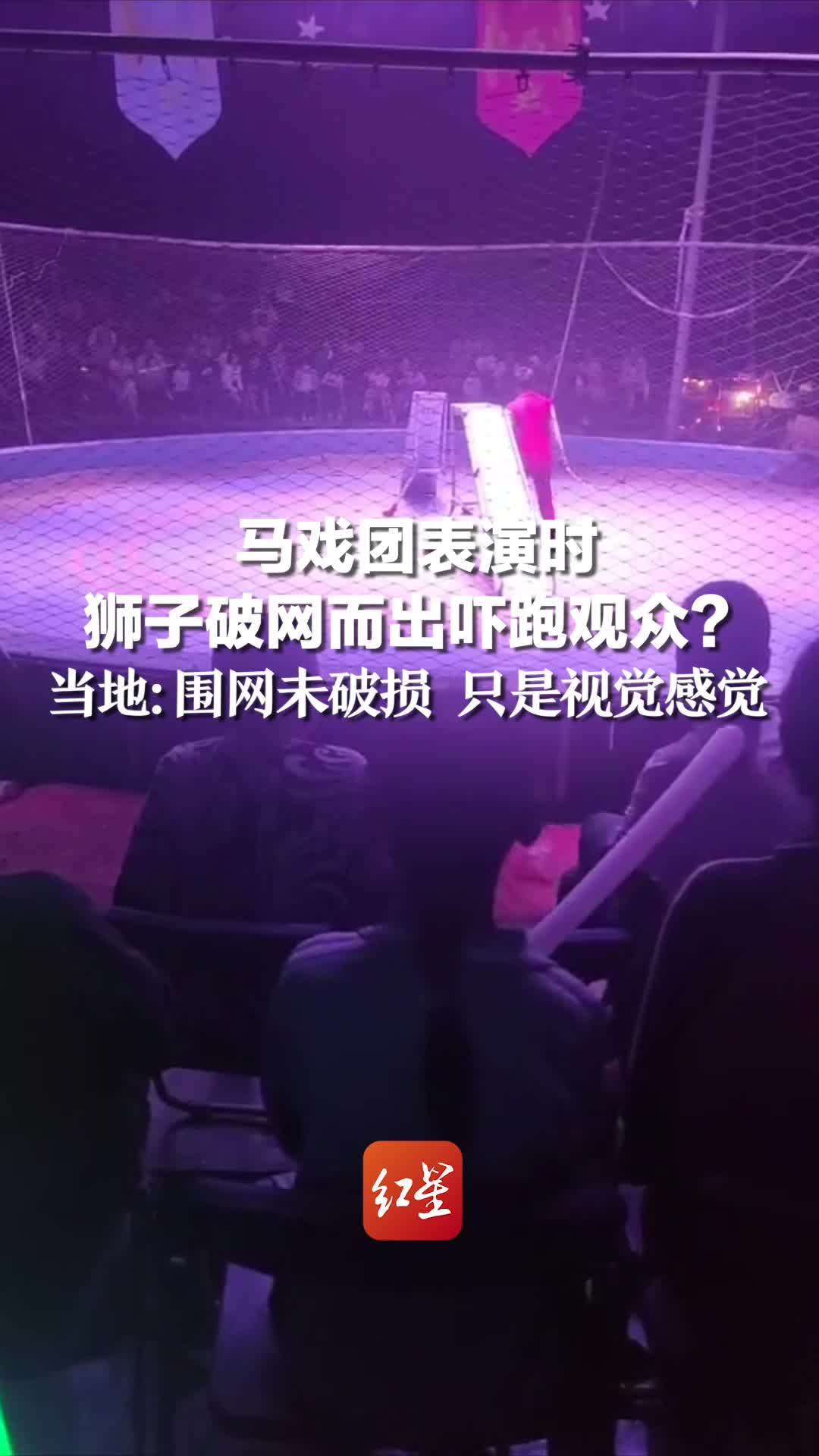 马戏团表演时狮子破网而出吓跑观众？当地：围网未破损 只是视觉感觉