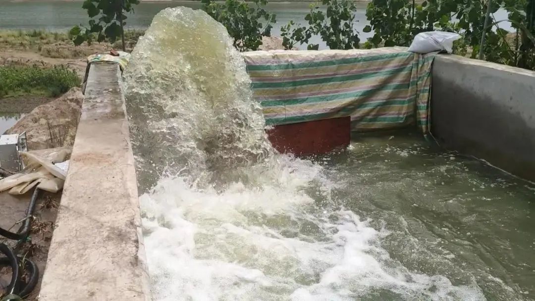 去年8月，在霍邱县冯瓴镇柳台村，抗旱服务队用水泵抽水灌溉农田。