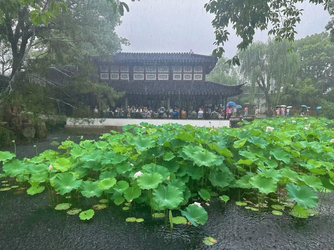 雨中欣赏苏州园林