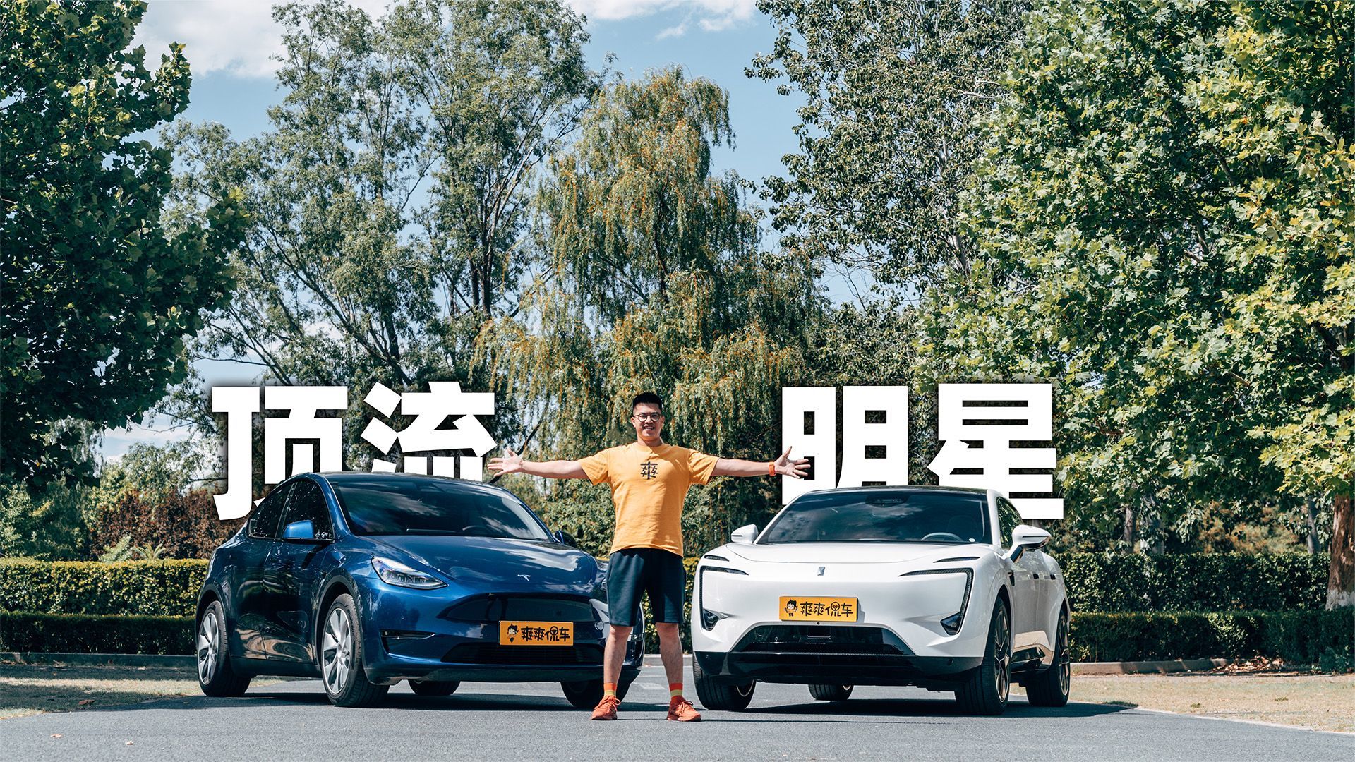 阿维塔11对比Model Y，百花齐放才是春