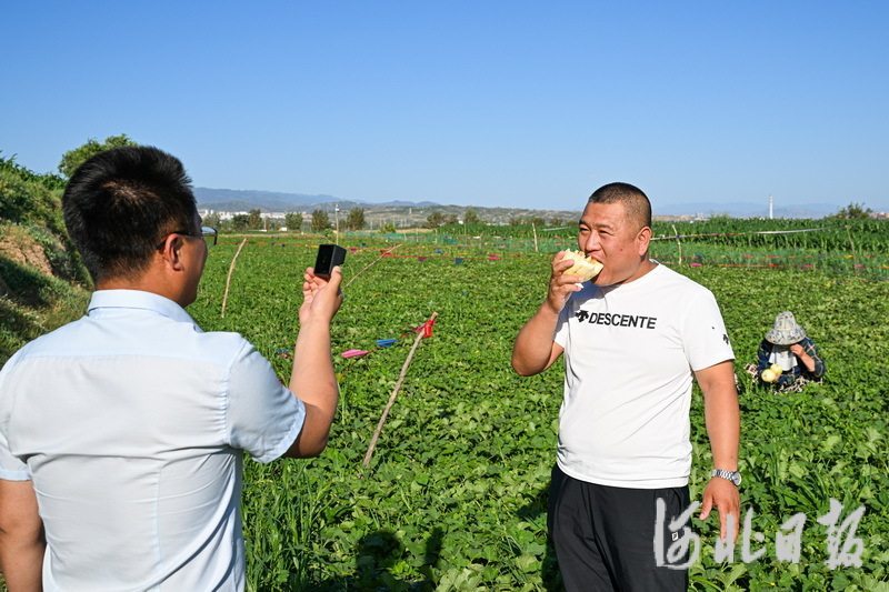 7月8日,张家口市万全区安家堡乡田茂庄村村书记田润平(左二)在通过直播推销香瓜。