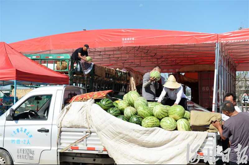 7月8日，水果采购商在中联农（石家庄）国际水果物流园水果优选专营区批发水果。