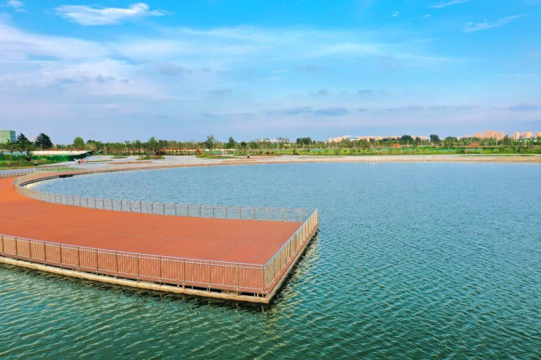 九里湖东湖生态修复工程项目即将竣工!徐州综合性湿地公园 1