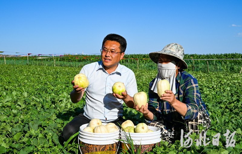 7月8日,张家口市万全区基层干部邢鹏飞(左)正在帮农民直播卖万全香瓜。