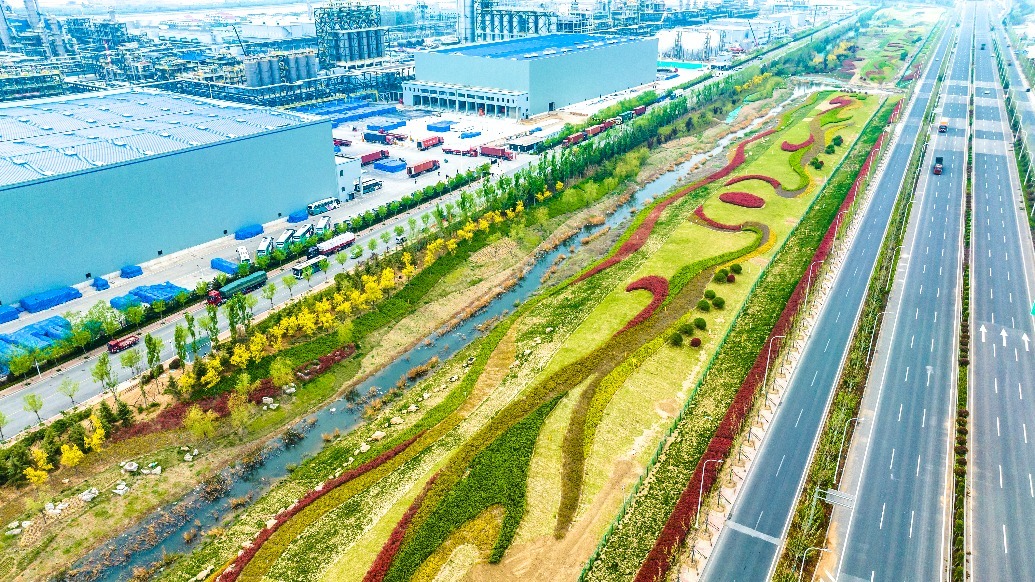 董家口经济区：做强循环产业，发展循环经济，聚力打造绿色低碳智慧化工园区凤凰网青岛_凤凰网