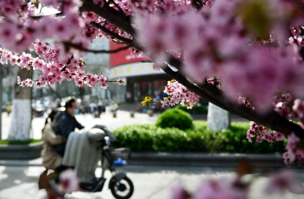 濟(jì)南市民騎行在泉城路商業(yè)街上