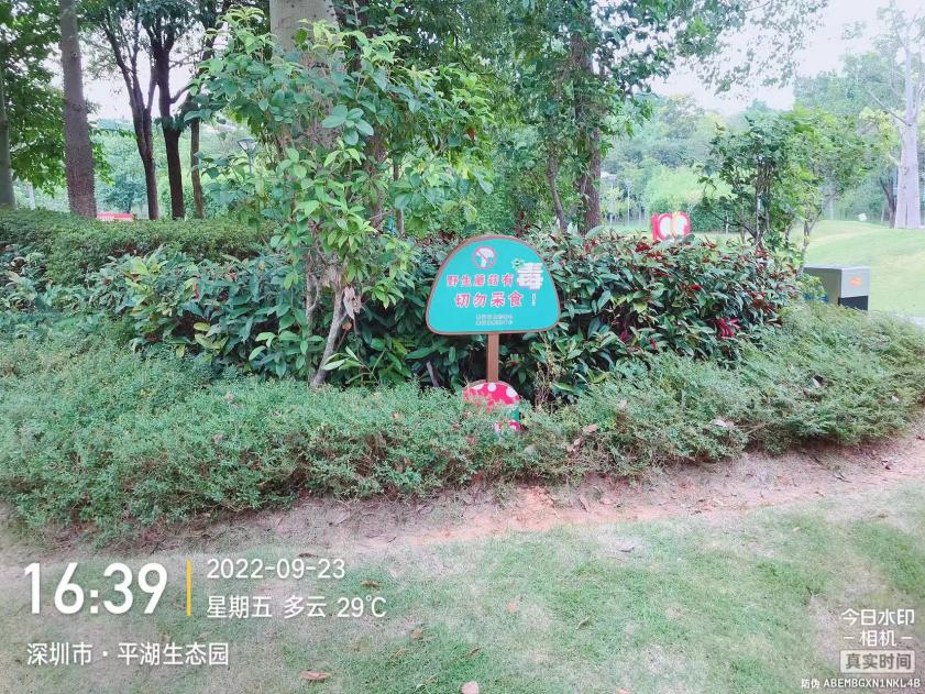 龙岗区食品安全事故流行病学调查应急处置演练成功举办