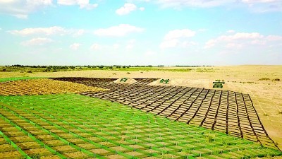 民勤县防沙治沙工程 邸海霞 摄/光明图片