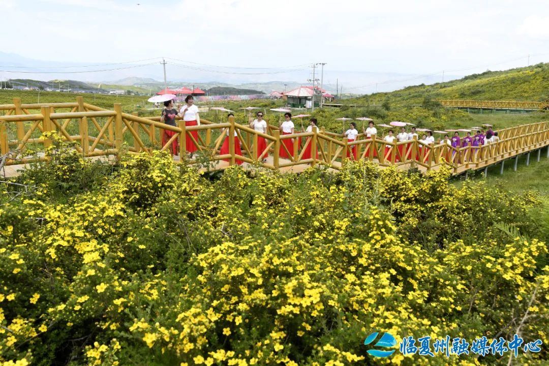 △ 旗袍爱好者走秀