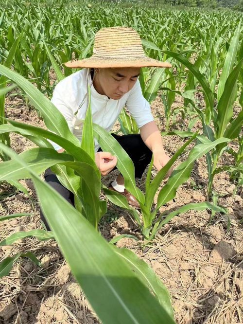 mmexport1689388717241