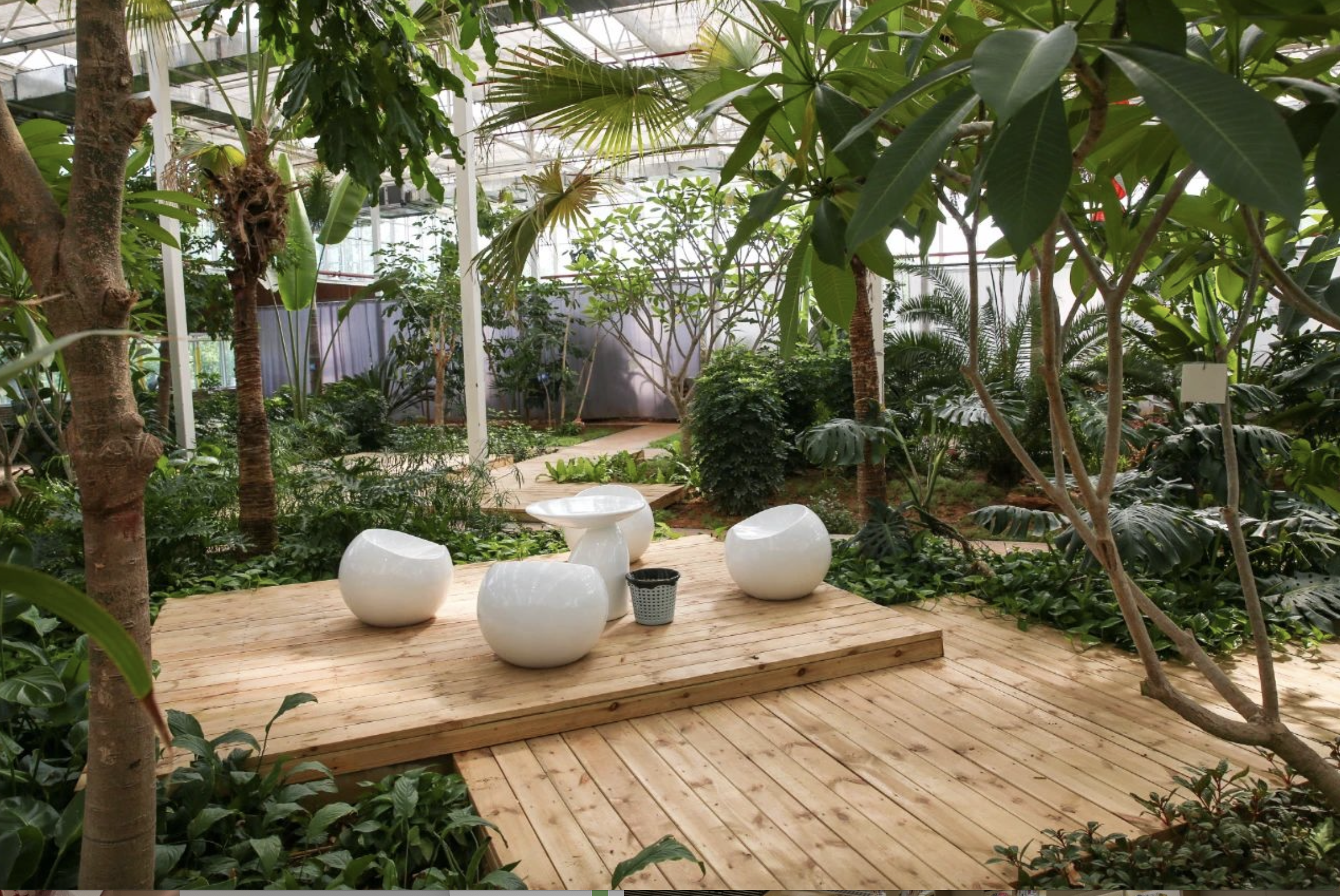 “湖光山色 书香龙泉”｜龙泉书院暨鹿泉城市书房开馆仪式成功举办！