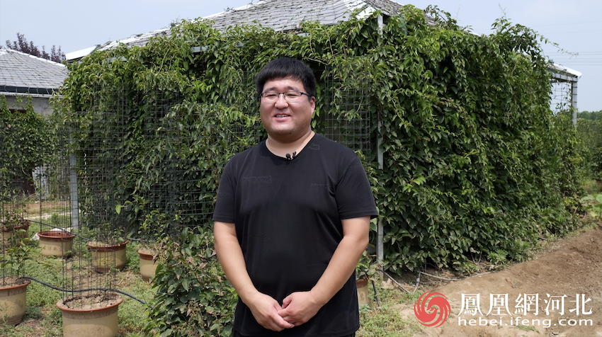 东旺镇张村党支部书记高雷